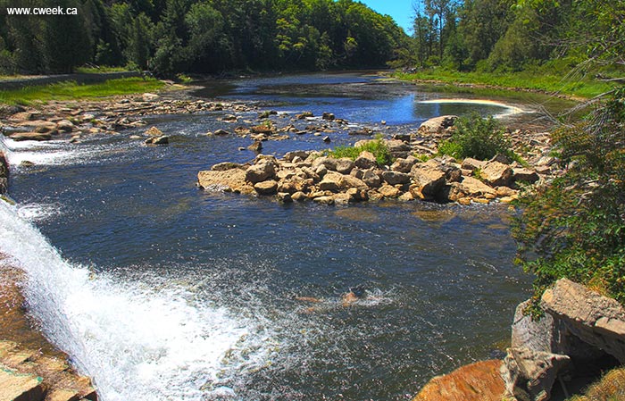 Sauble River